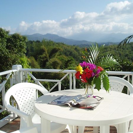Tranquility Villa Port Antonio Luaran gambar