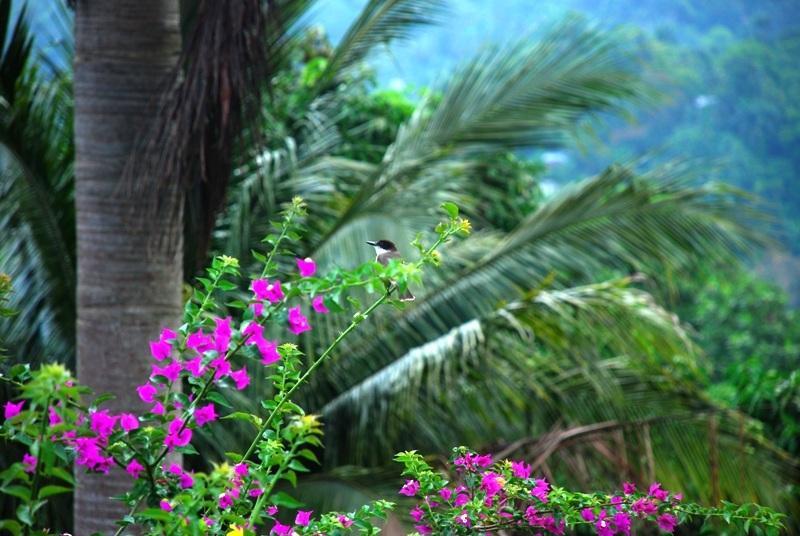 Tranquility Villa Port Antonio Luaran gambar